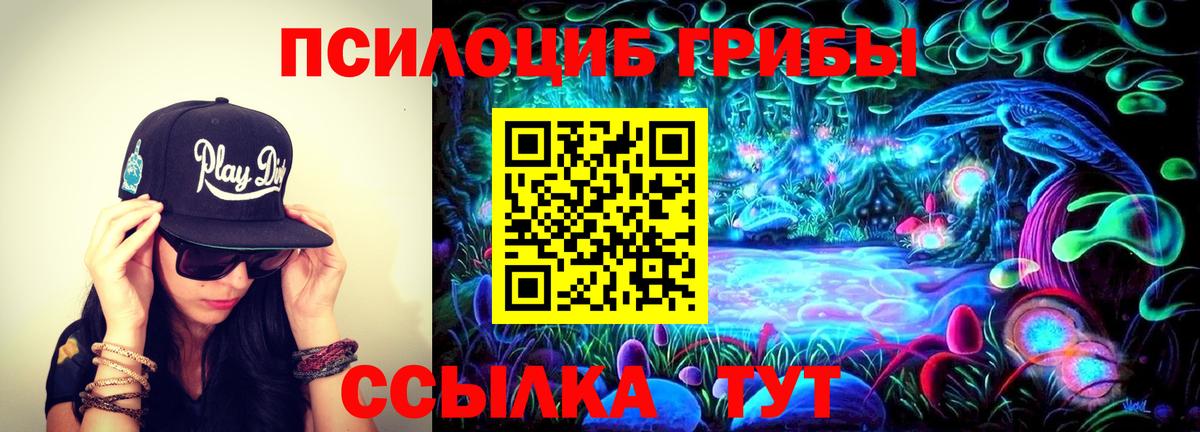Псилоцибиновые грибы GOLDEN TEACHER Гусев