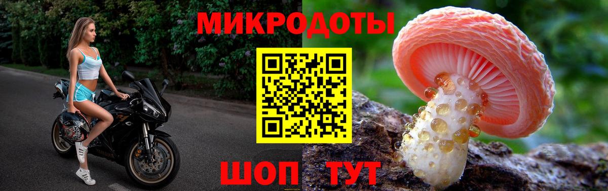 Псилоцибиновые грибы Cubensis  Вход с VPN  Галлюциногенные грибы MAGIC MUSHROOMS  Гусев 